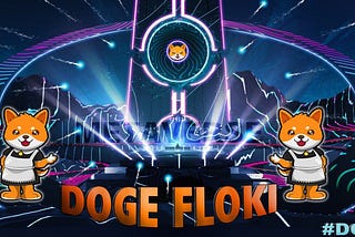 Doge Floki IDO sale is now Live