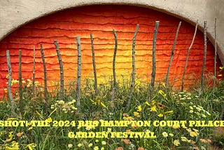 Shot! The 2024 RHS Hampton Court Palace Garden Festival