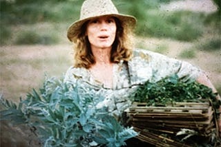 The plant press that went up the Amazon!