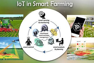 TELECOM OPERATOR’S ROLE IN SMART AGRICULTURE