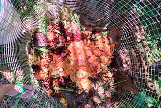 Composting stories from my estate’s community garden: The Story of Compost Heaps ‘Alpha’ & ‘Tall…