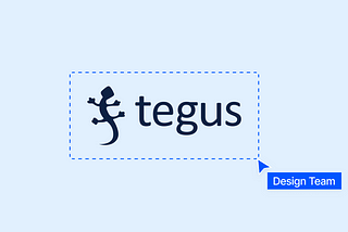 Tegus Design Introduction