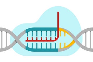 Illustration of Crispr cas9 illustration, a gene mutation technology