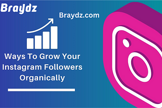 Dive into the magic of Instagram followers with Braydz.com.