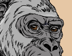 Introducing the Primate Social Society’s Silverback Utility Program