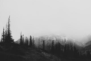 SwiftUI:Gesture Kullanımı