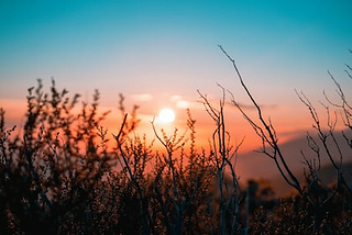 Six things everyone should do before 8 am.🌄