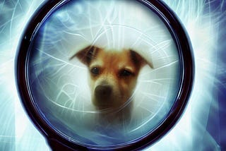 The face of a tan and beige dog inside a magnifying glass with light/energy rays coming from inside the glass and out to the background