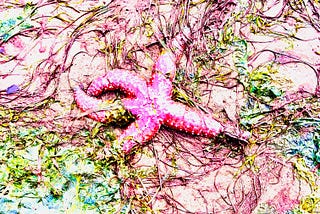 Startlight Starbright