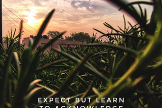 Expect But Learn To Acknowledge.