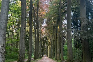 Walks in nature have become a rather critical ingredient in slow living