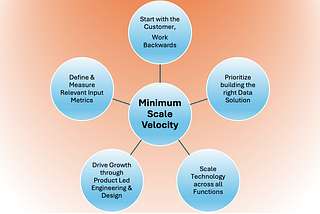 Minimum Scale Velocity — Why Growth Stage Startups Need to Focus on This?