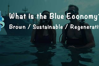 What is a (Brown, Sustainable or Regenerative) Blue Economy?