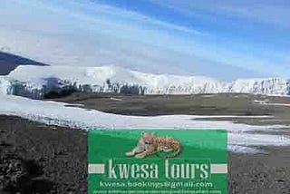 An Exciting Safari Tanzania Kilimanjaro Experience Is Waiting