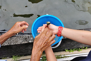 A ‘fishy’ field trip