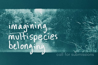 🌱 Imagining Multispecies Belonging: Call for Recipes 🌱