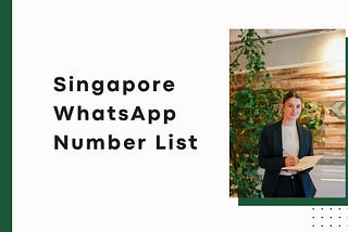 Singapore WhatsApp Number List | B2B Database