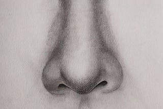 The Fascinating World of the Human Nose