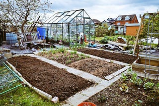 Our allotment with a freshly dug bed