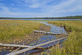 hiking to Riddle Lake in Yellowstone NP