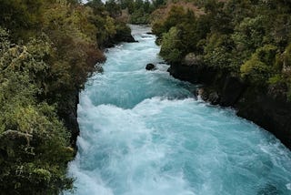 Māori Carvings and Nature In Our Last Full Day in New Zealand (Day 6)