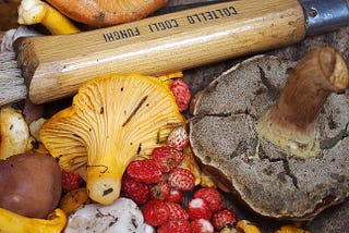 Foodie Travel — 20 Events Celebrating Edible Mushrooms & Truffles