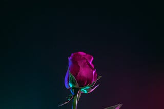 The scent of love