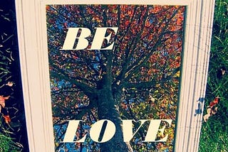 A mirror sitting on the Earth, framed in a cream frame, reflecting the trunk and colorful branches from the ground up inside the frame are the words “be love”