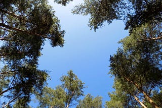 Treasures Underfoot and Above the Head