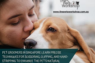 Advanced Training and Lifelong Learning — The Pets Workshop