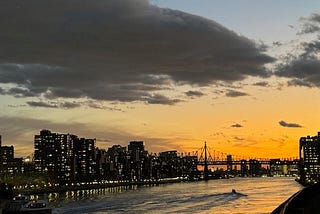 Holiday Season, Week Forty-Eight in the No Longer New Abnormal