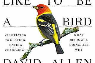 EPUB|EBOOK DOWNLOAD What It’s Like To Be A Bird by David Allen Sibley FULL EPUB READ ONLINE