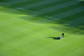 Replace Your Lawn with a Groundcover