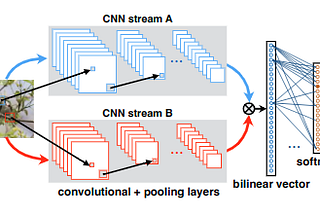 Bilinear CNN models in TensorFlow-Keras