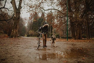 A person in a dark jacket, walking towards the camera pushing a bicycle, with a dog beside them. Puddles and leaves in front of them, on the muddy path, in a very autumnal scene. Photo by Valentine Angel Fernandez: https://www.pexels.com/photo/person-in-black-jacket-holding-a-bicycle-beside-a-dog-on-wet-ground-14980353/