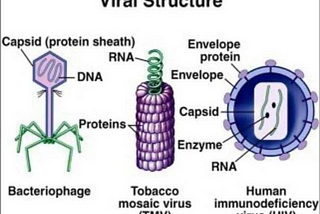 All About Viruses Pt. 1 | Learn With Me 5