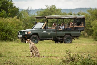 Tanzania Group Sharing Safari
