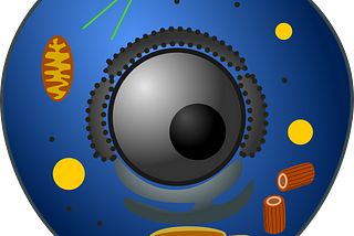 Components of Cell: Cytoplasm, Organelles, and cellular components