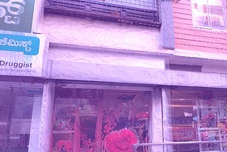 The Flower Shop