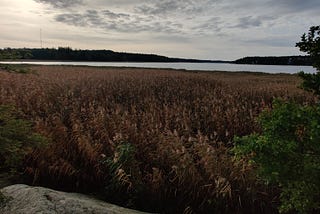 Goal: Locate an abandoned ghost ship