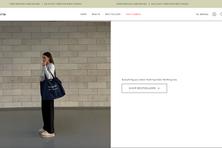 Enhancing an E-commerce Experience: A Heuristic Evaluation of Ninepine’s Website