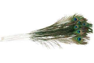 Importance of Keeping Peacock Feathers at Home