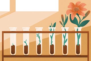 A rack of six test tubes contains plants at different growth stages, developing from a seedling on the left into a flower on the right.