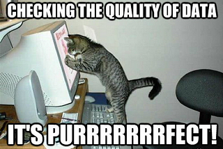 Guardians of the Data Galaxy: The Data Quality Layer