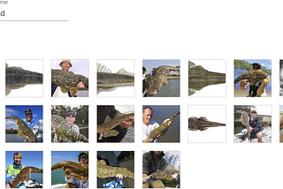 Identify Fish using Machine Learning