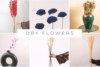 Why Dried Flowers Are the Perfect Sustainable Decor
