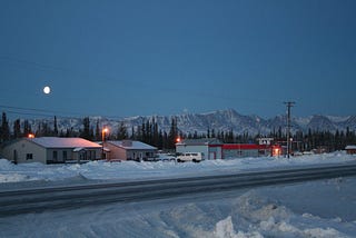 Where Snowbirds Fly South for the Winter