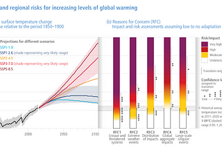 A Primer on Negative Emissions Technologies