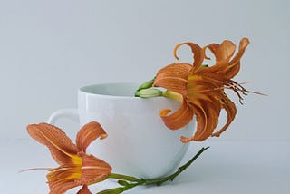 The Perfection That Tried to Protect Me