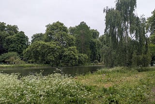 A park scene with trees in the background, water in the middle ground and low-growing vegetation with a few waterfowl in the foreground